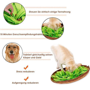 Training-Matte für Haustiere, fördert die natürlichen Futtersuchfähigkeiten