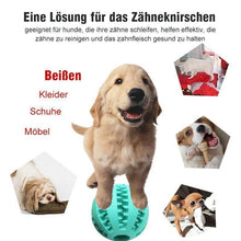 Laden Sie das Bild in den Galerie-Viewer, Hundebiss beständiger elastische Kugel Spielzeug Ball